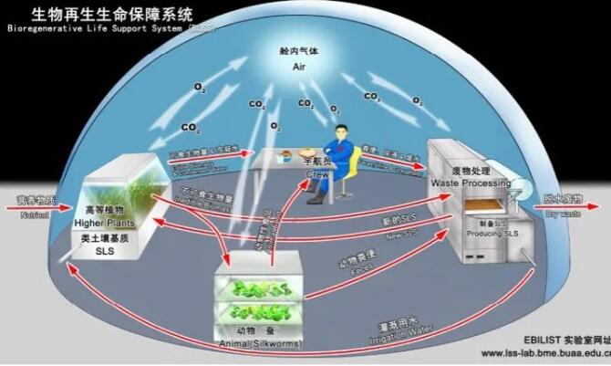&#20048;&#40060;&#32593;&#39029;&#29256;&#22312;&#32447;&#30331;&#24405;&#45;&#108;&#101;&#121;&#117;&#40;&#20013;&#22269;&#41;